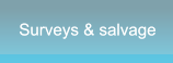 Surveys & salvage Surveys & salvage
